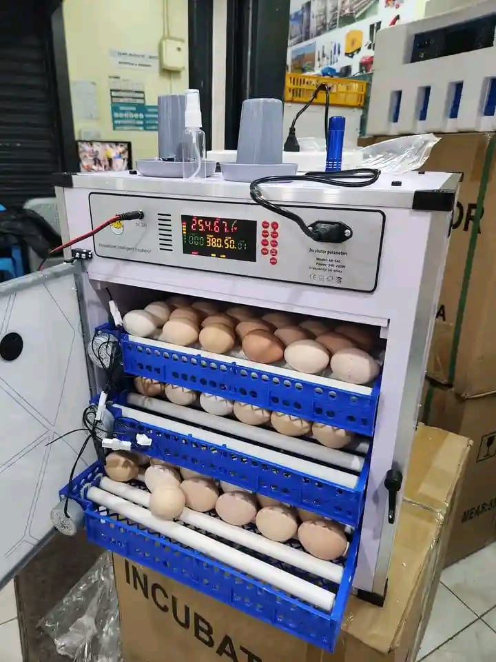 Egg Incubators